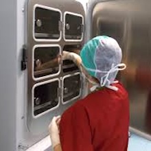 Culture Embryonnaire